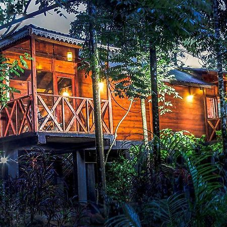 Vythiri Wood House Wayanad Βίλα Εξωτερικό φωτογραφία