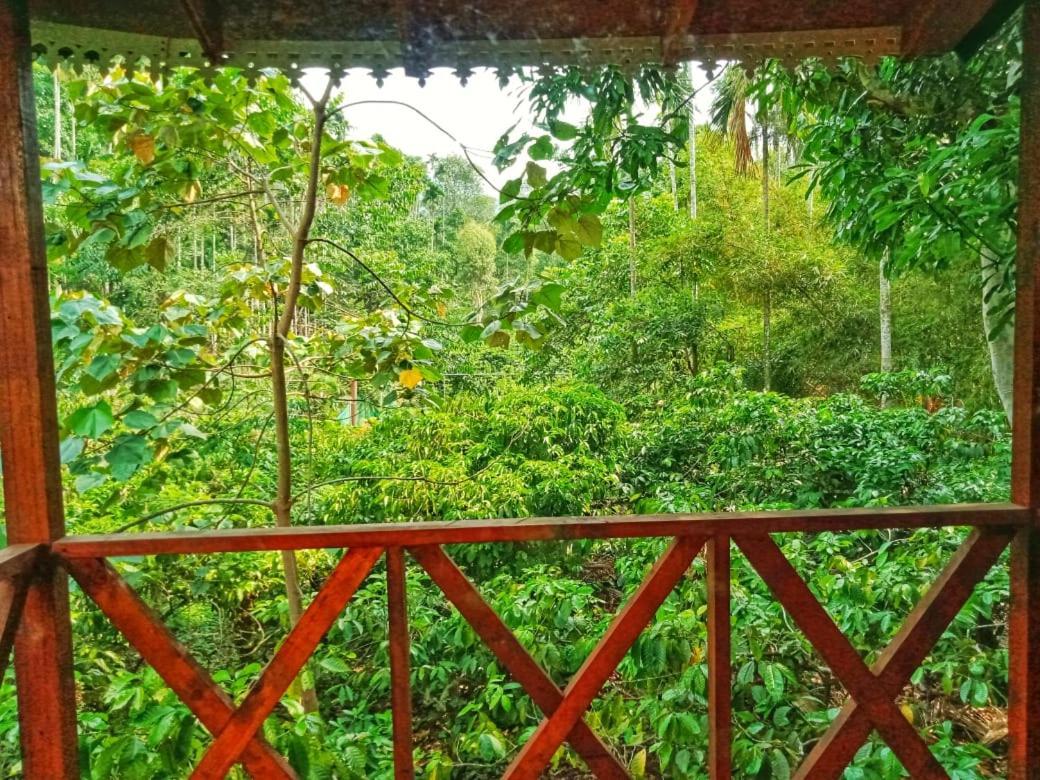Vythiri Wood House Wayanad Βίλα Εξωτερικό φωτογραφία
