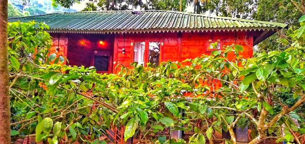 Vythiri Wood House Wayanad Βίλα Εξωτερικό φωτογραφία
