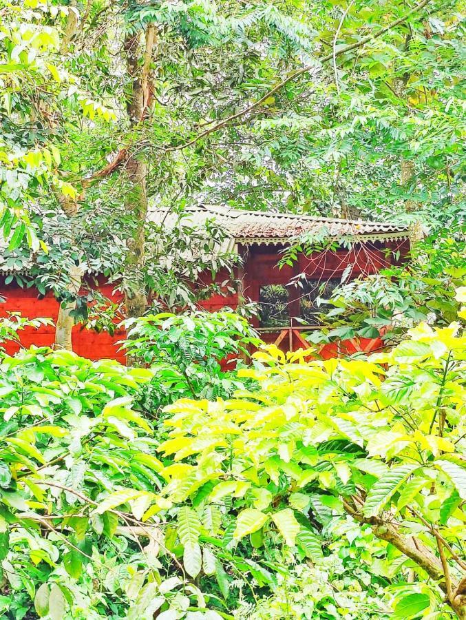 Vythiri Wood House Wayanad Βίλα Εξωτερικό φωτογραφία